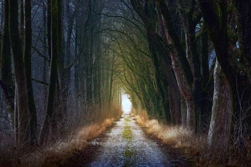 Anel Prata 925 Laço liso regulável